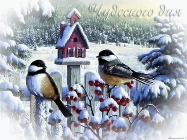 Открытки с зимним воскресным утром