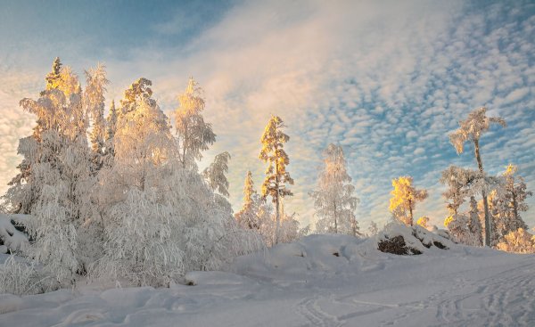 Зимняя природа Южного Урала