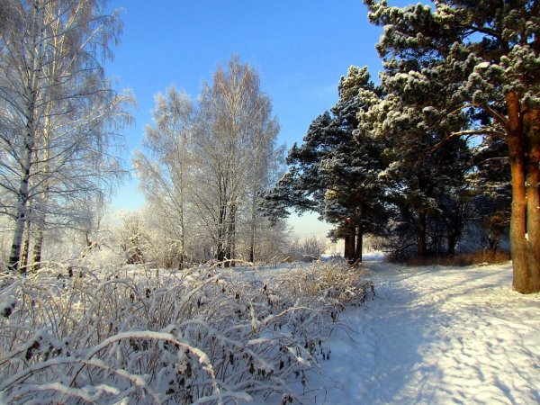 Уральские горы зима
