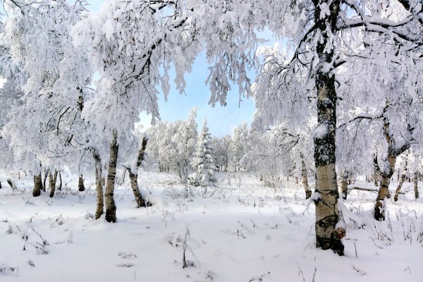 Зимний пейзаж Урала