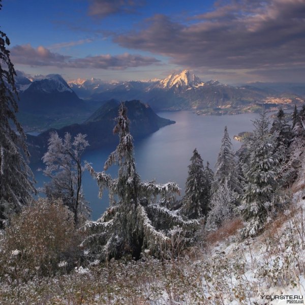 Снежный пейзаж