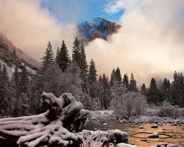 Зимой в лесу