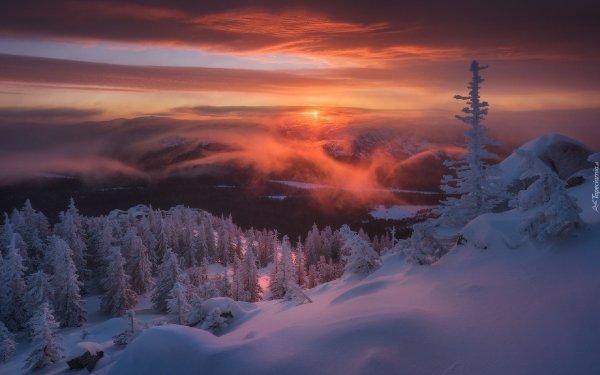 Замерзшее озеро в лесу