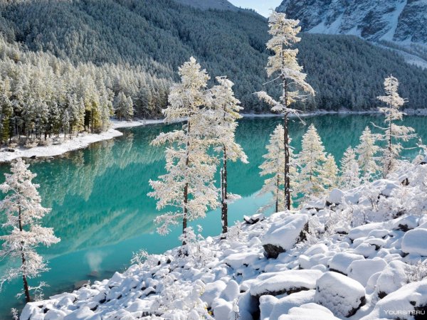 Шавлинское озеро, Алтай зимой