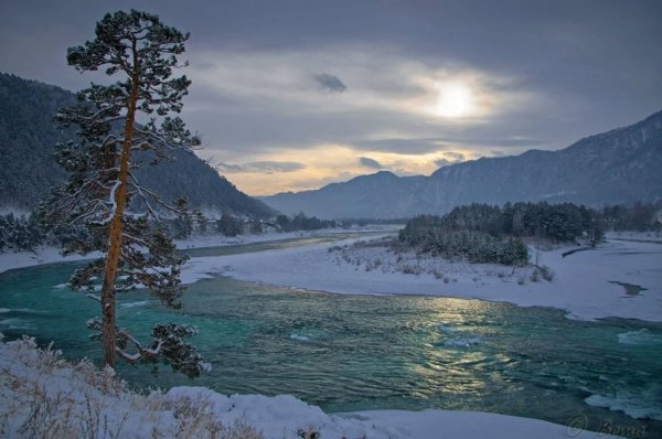 Природа горного Алтая река Катунь