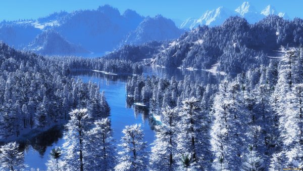 Зимний горный лес