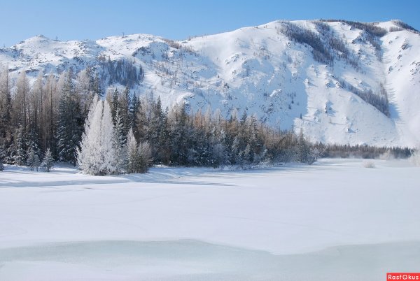 Предгорье Алтая зимой