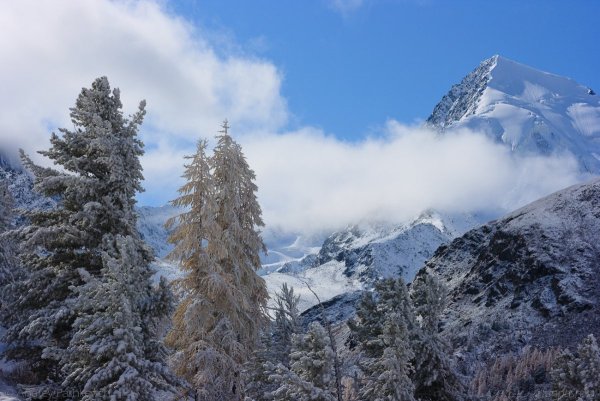 Стелла Республика Алтай зимой