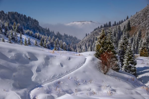 Тропа в зимних горах