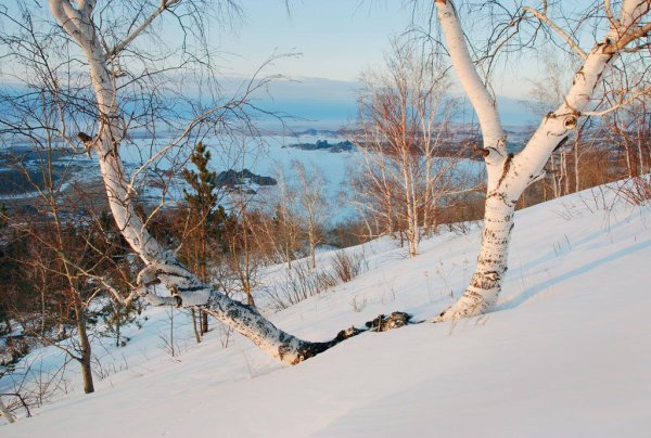 Колывань зима