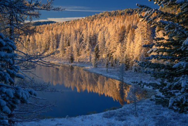 Улаганское Нагорье горный Алтай