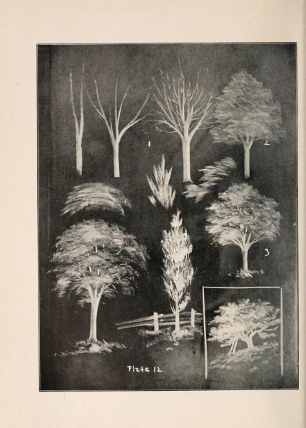 Пейзаж мелом