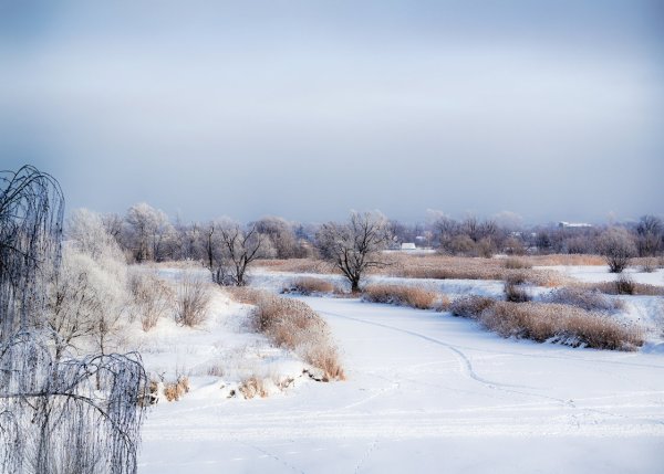 Зимний пейзаж Тамбовской области