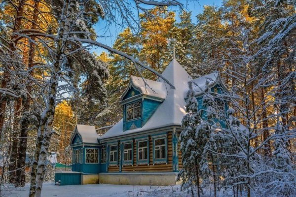 Природа Тамбовской области зимой