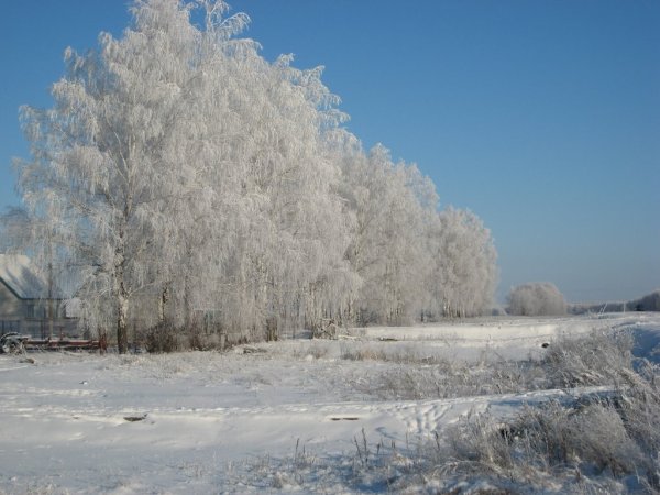 Бутурлино Нижегородская область зима