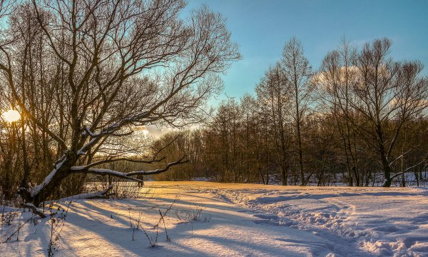 Зимний пейзаж Луганска