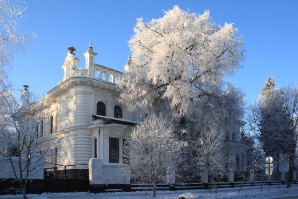 Зима Тамбов усадьба Асеевых