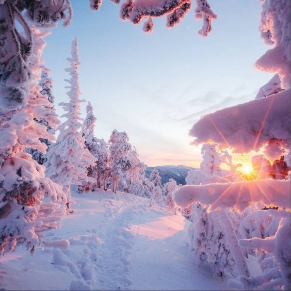 Зима пейзаж