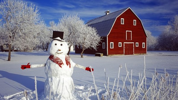 Европейский Снеговик