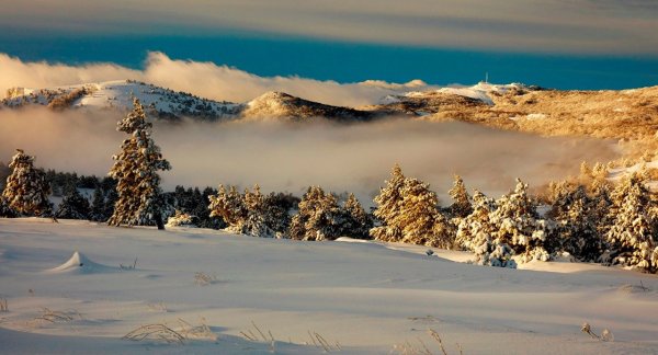 Пейзажи Крыма зимой