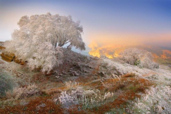 Зимние пейзажи Крыма