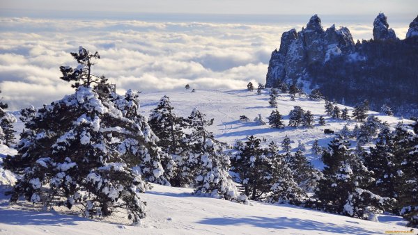 Ай Петри зимний пейзаж