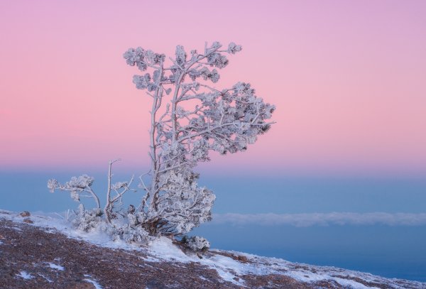 Море Крым зима