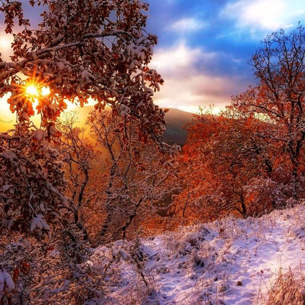 Зимние пейзажи Крыма