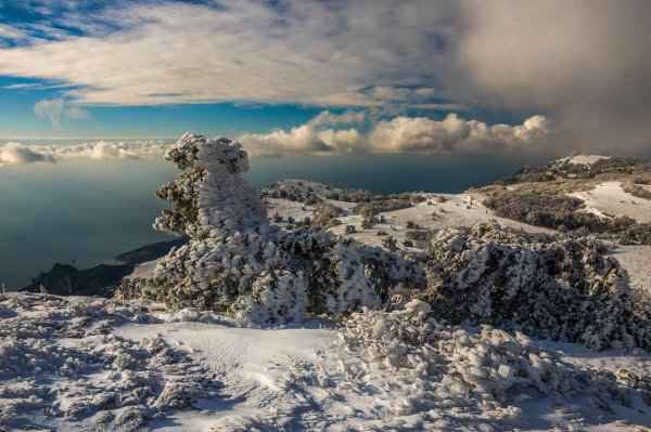 Ай Петри яйла зимой