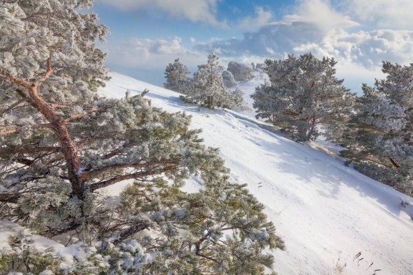 Даниил Коржонов Крым