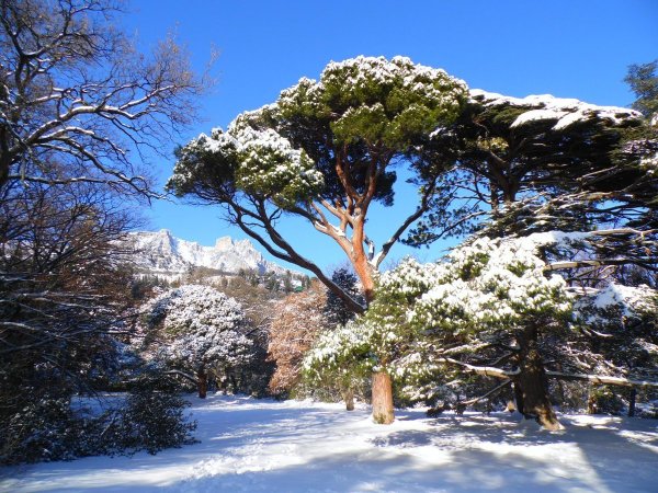 Пейзажи Крыма зимой