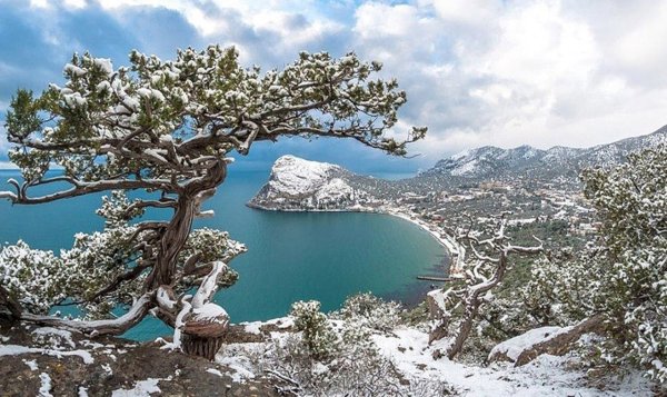 Новый свет Крым зимой