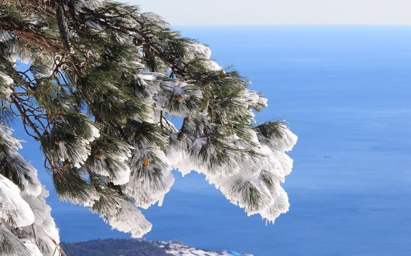 Ай Петри Крым