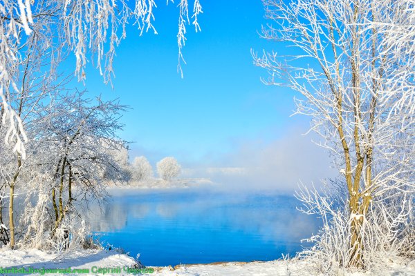 Прекрасный Солнечный зимний денек
