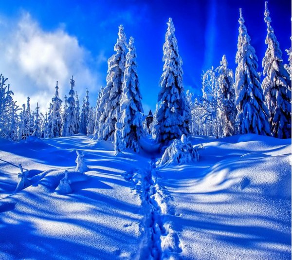 Зима атмосфера