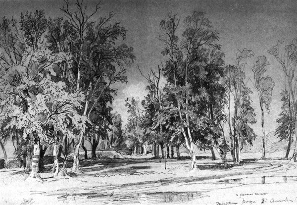 Иван Шишкин Преображенское стога