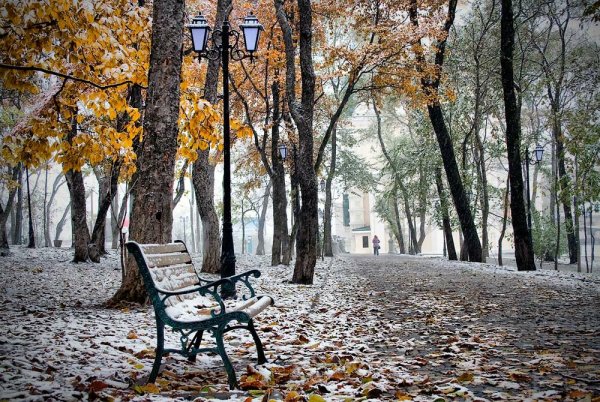 Поздняя осень в городе