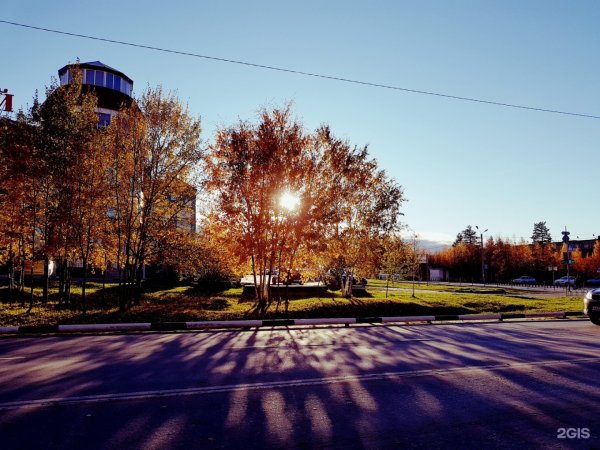 Ноябрьск природа