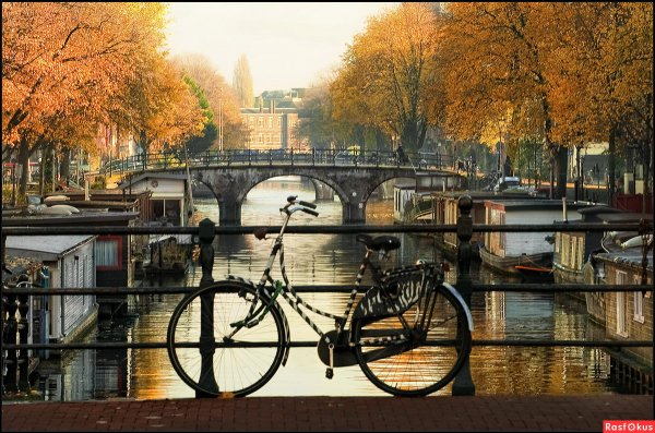 Художник Евгений Лушпин картины