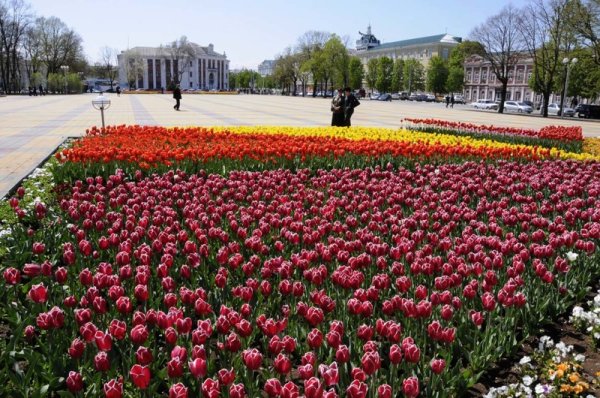 Площадь Ленина Майкоп