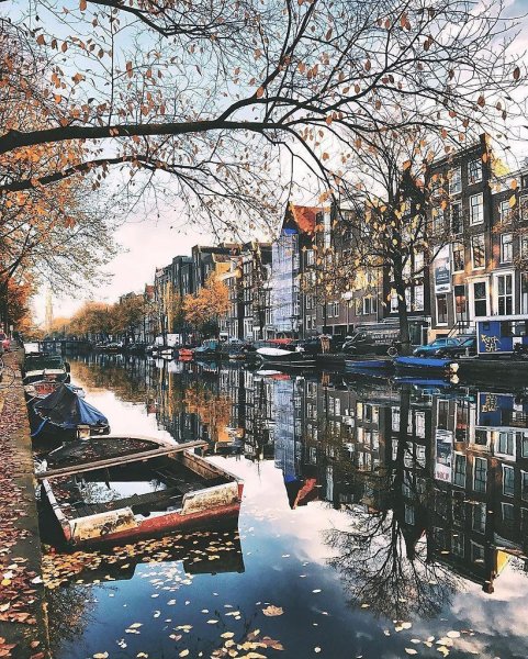 Майя Вронска