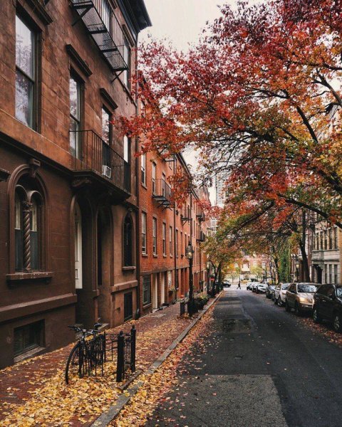 Осень Эстетика город