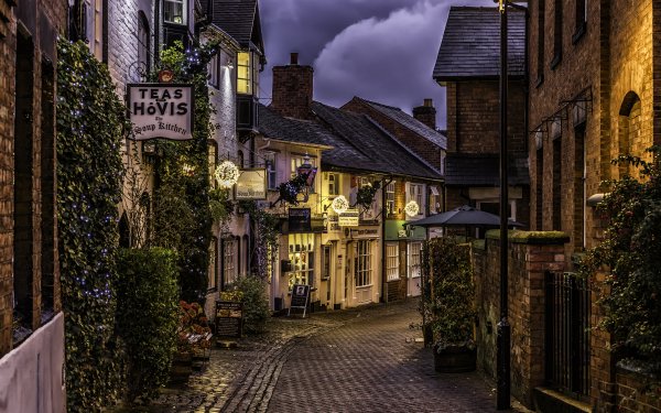 Луиза Ингрем Рэйнер (1832-1924), английская