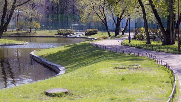 Утро на озере