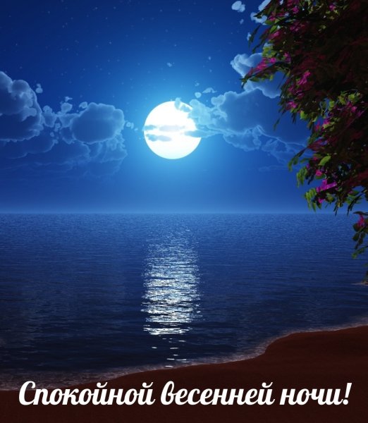 Огромная Луна над городом