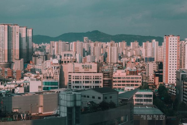 Эстетика Токио Сакура