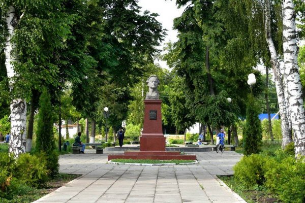 Павловск Воронежская область парк