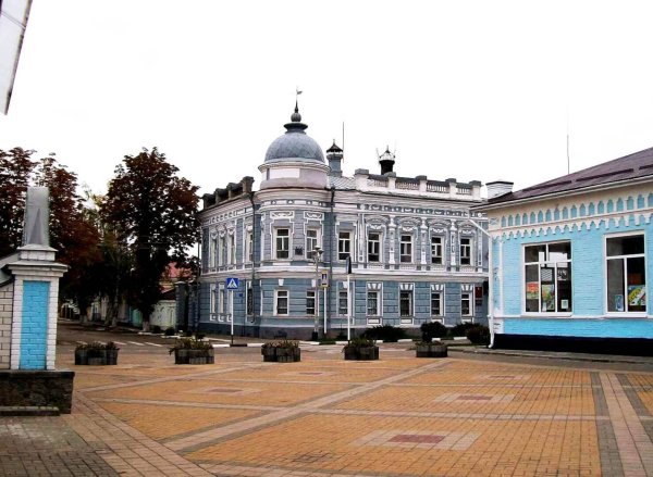 Ольгинская гимназия Павловск Воронежская область