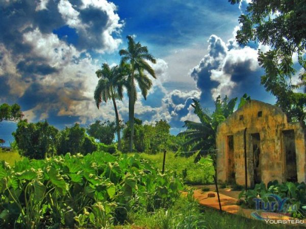 Куба природа