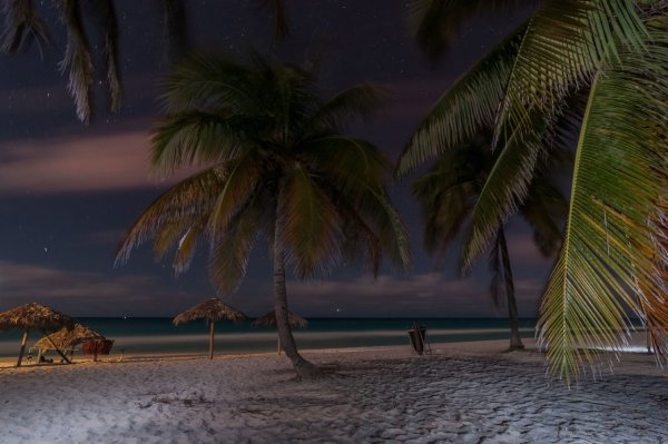 Пальмы вечер